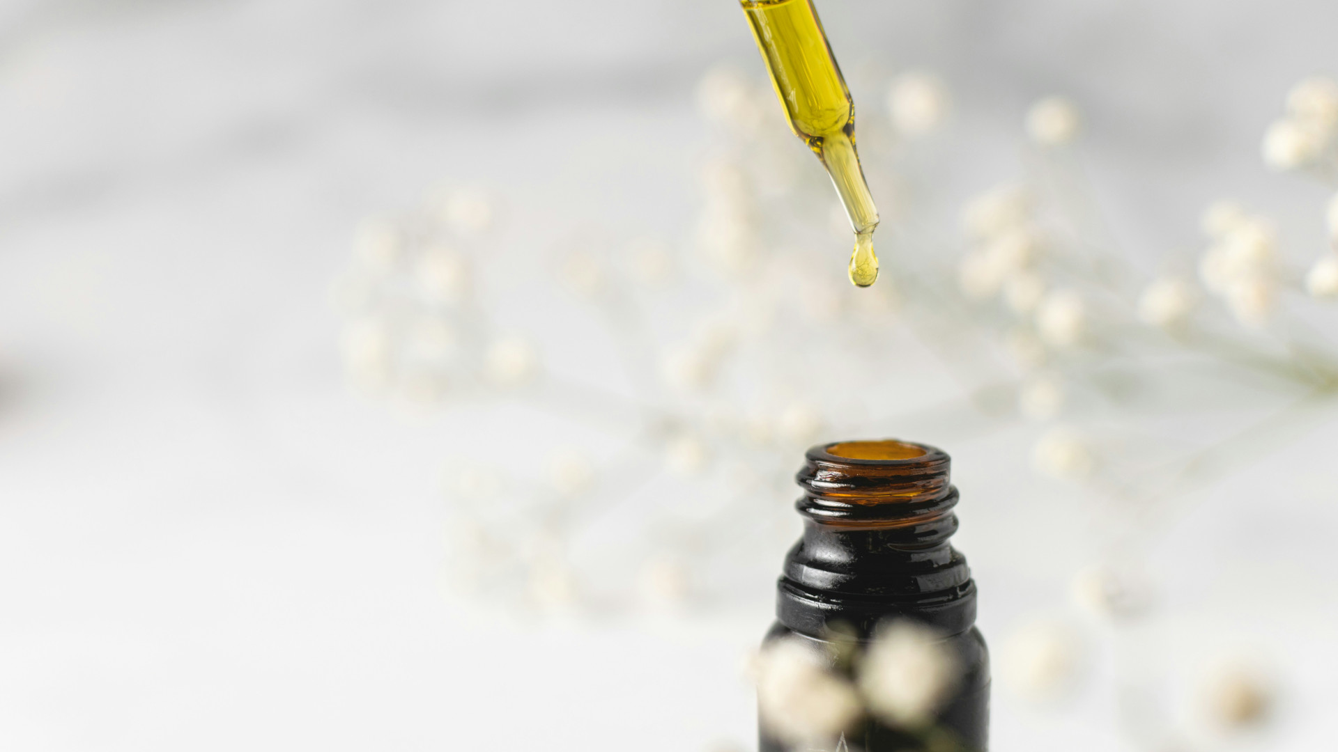CBD français : le guide complet pour comprendre la qualité, la culture et les différents produits